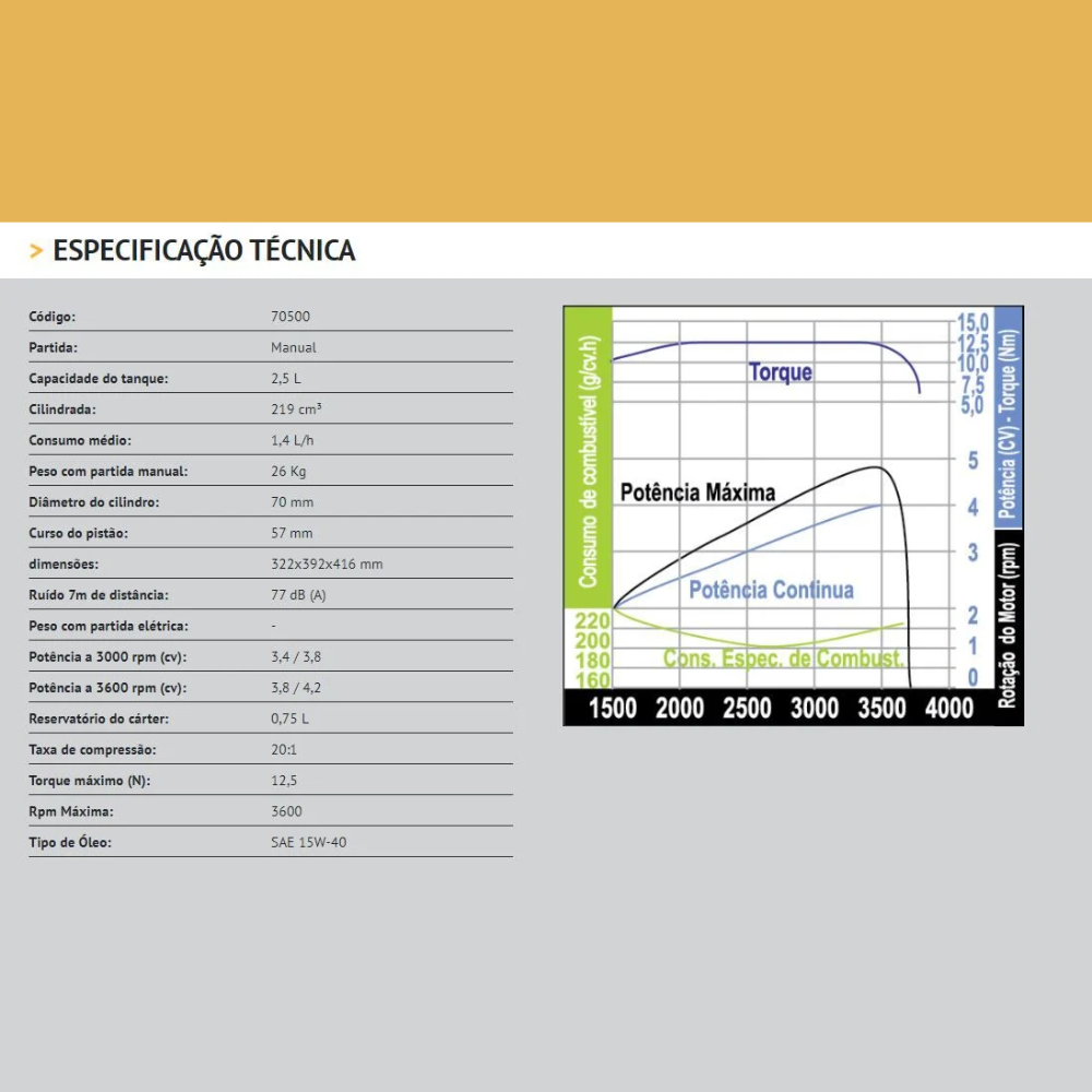Motor Diesel Estacionário Partida Manual 5.0HP/CV 4T BFD 5.0 Buffalo