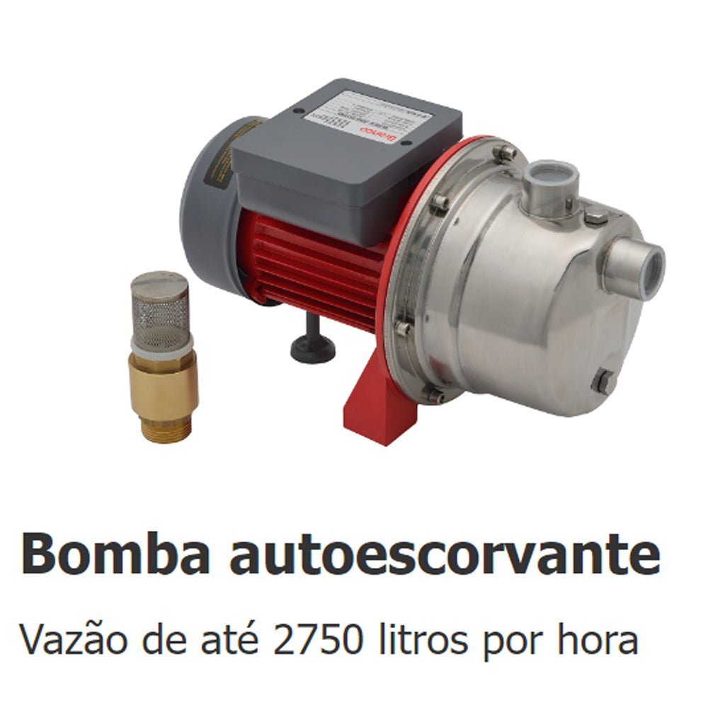 Bomba de Agua Autoaspirante Eletrica Inox Bb500ai 0,5cv Bivolt Branco