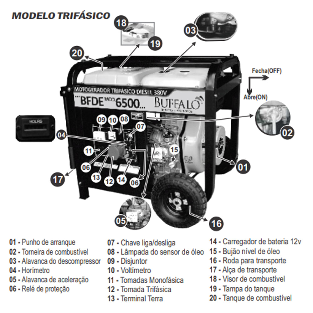 GERADOR DE ENERGIA À DIESEL TRIFÁSICO BFDE8000 13CV 8KVA 220V BUFFALO