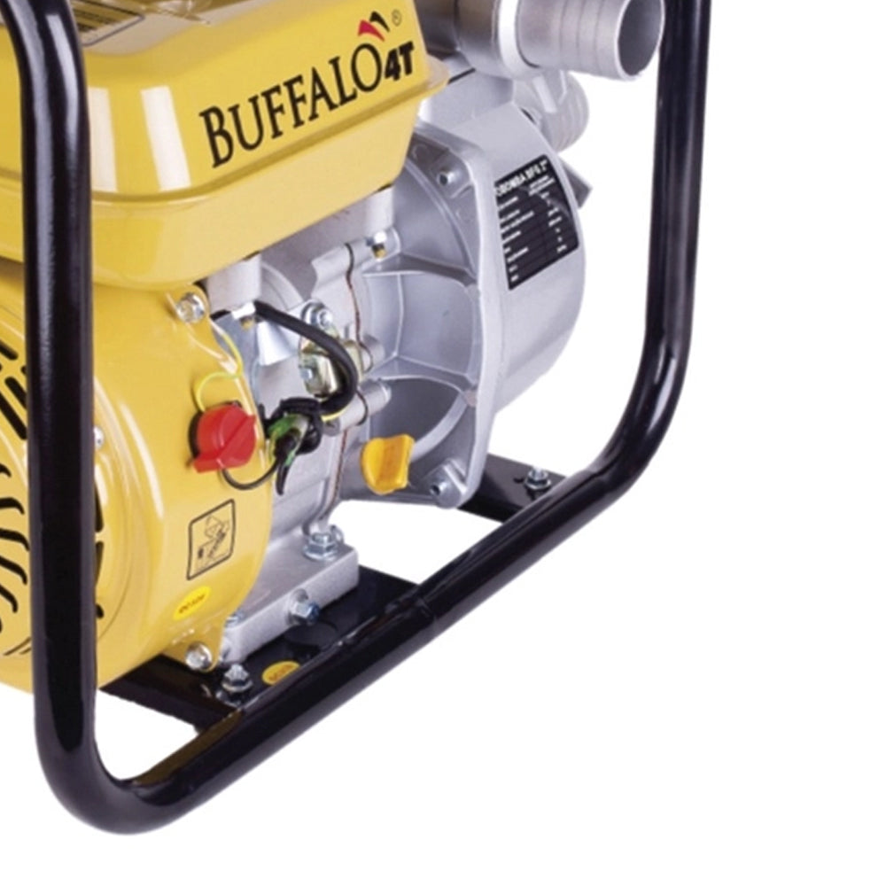 Motobomba Auto Escorvante bfg Buffalo 2 Pol Partida Manual 7cv