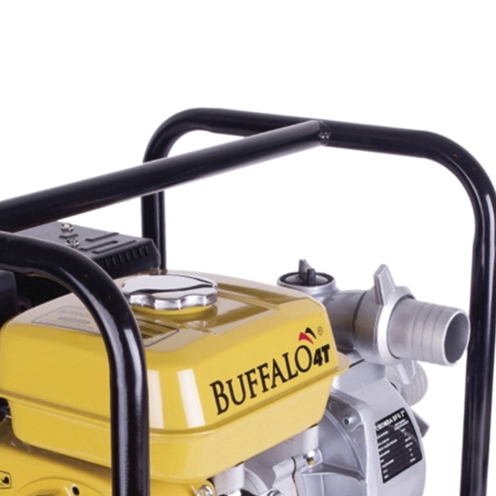 Motobomba Auto Escorvante bfg Buffalo 2 Pol Partida Manual 7cv