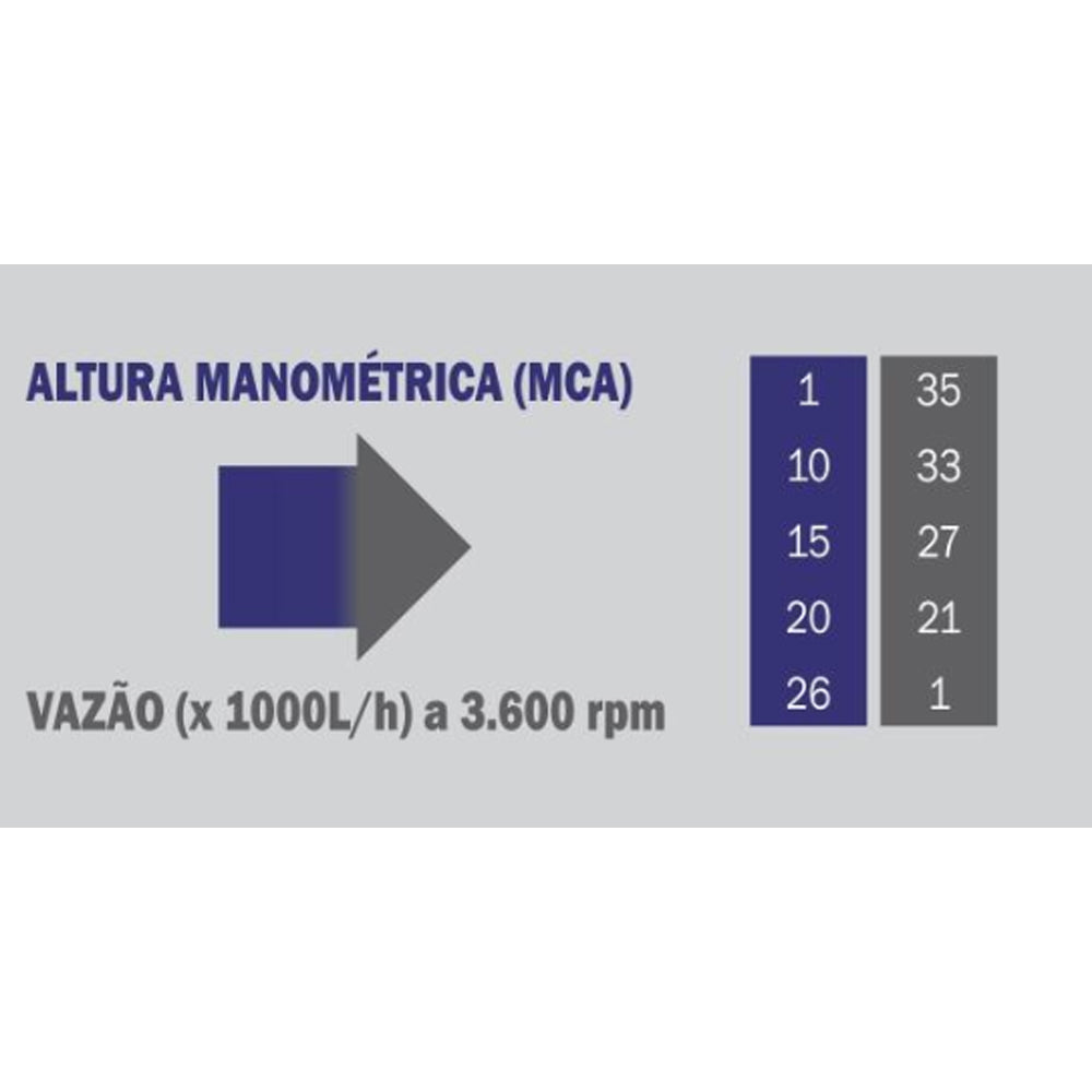 Motobomba Auto Escorvante bfg Buffalo 2 Pol Partida Manual 7cv