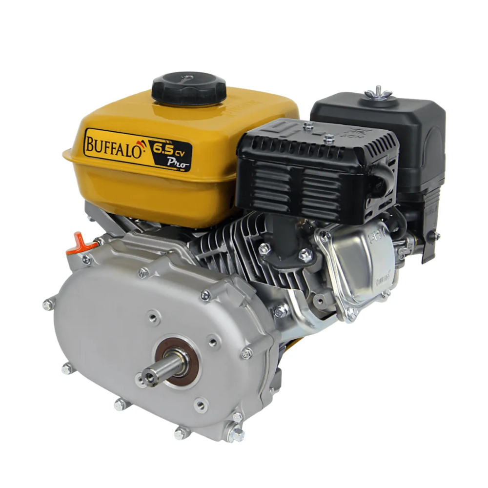Motor Gasolina Estacionário BFG6.5CV 4T Estacionário Partida Manual com Embreagem e Redutor Buffalo