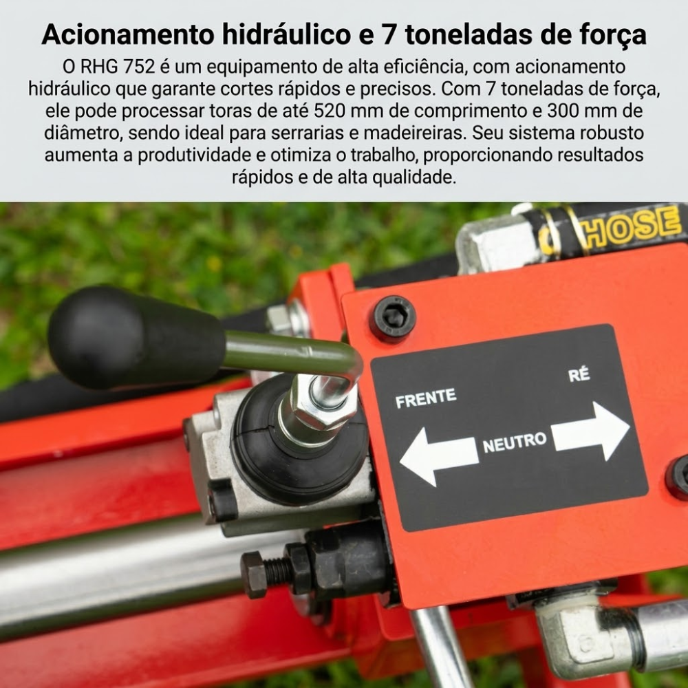 RACHADOR DE LENHAS RHG 752 ELETRICO MOTOR 3000W 220V 60HZ