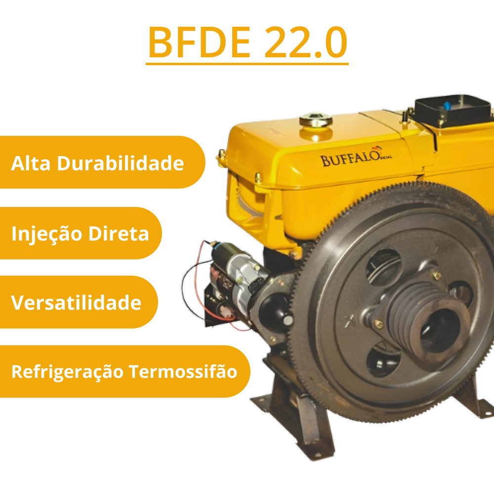 Motor Diesel 22CV Estacionário Partida Elétrica Termossifão Refrigerado a Água Buffalo
