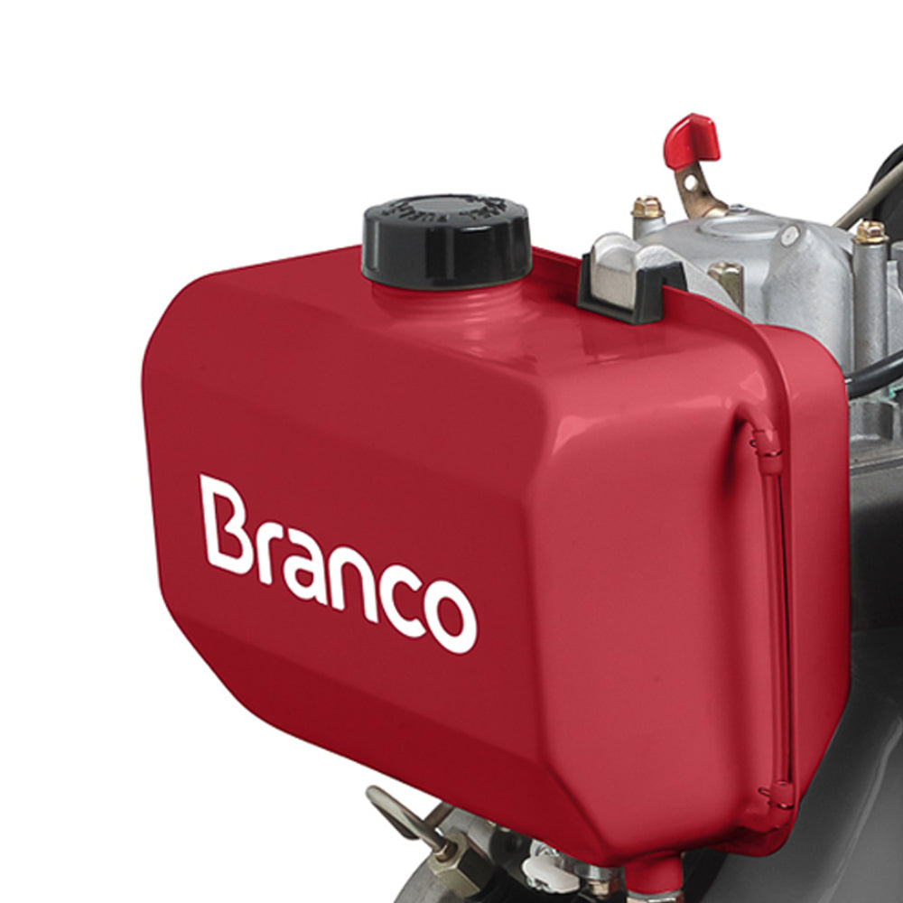 MOTOR DIESEL BD13.0 13CV COM PARTIDA ELETRICA BRANCO MOTORES