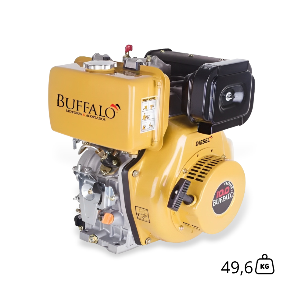 Motor Diesel Estacionário BFDE 10cv Part Elétrica Buffalo
